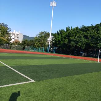 QQ图片20201112175304.jpg