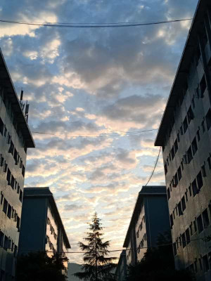 QQ图片20201112140050.jpg