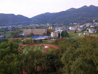 QQ图片20201112181407.jpg
