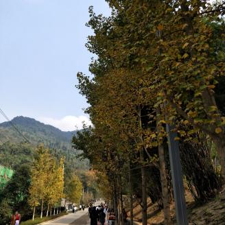 QQ图片20201112140100.jpg