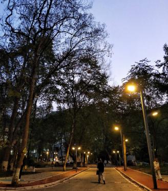 QQ图片20201112140116.jpg